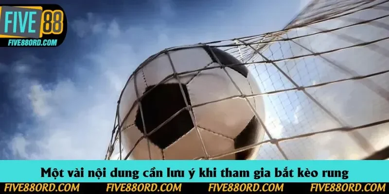 Một vài nội dung cần lưu ý khi tham gia bắt kèo rung