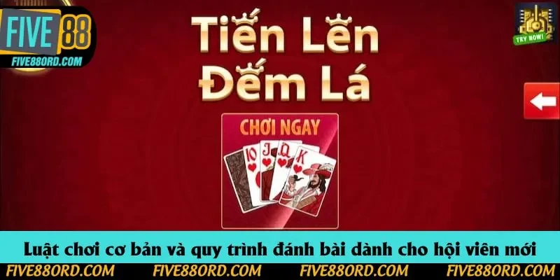 Luật chơi cơ bản và quy trình đánh bài dành cho hội viên mới