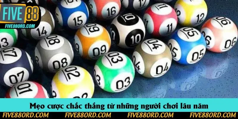 Mẹo cược chắc thắng từ những người chơi lâu năm